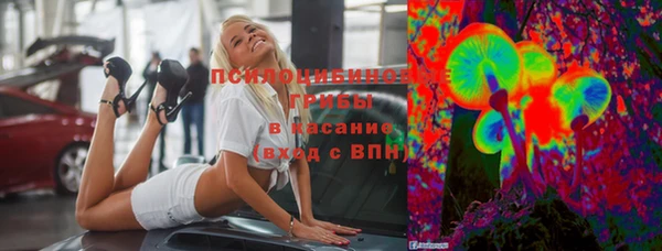 jwh Белокуриха