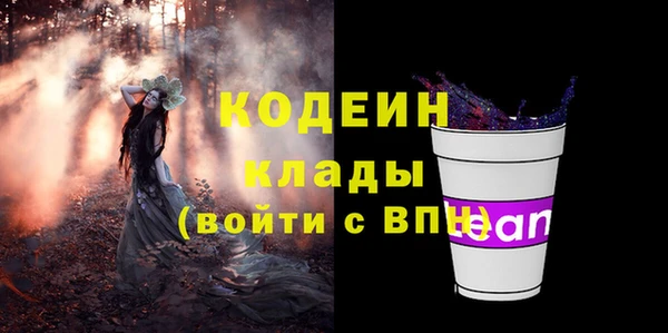 дживик Богородск