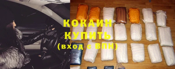 дживик Богородск
