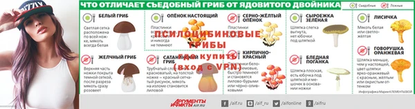 метадон Богданович