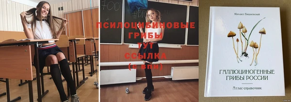 jwh Белокуриха