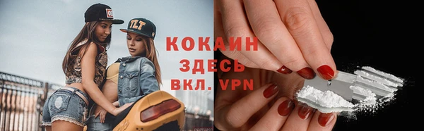 метадон Богданович